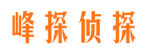 新安市私人调查